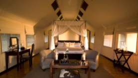 2912809-gorah-elephant-camp-hotel-garden-route-and-winelands-south-africa